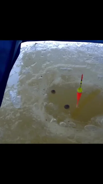 Где рыбов, я спрашиваю?⁠⁠