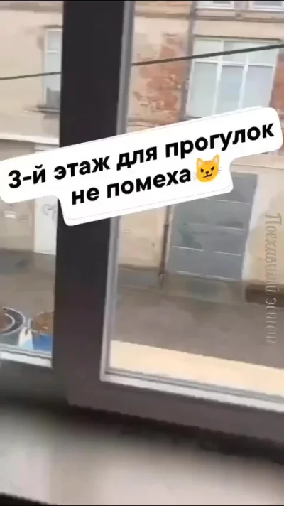 Главное острожно