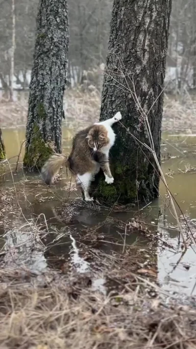 Очень переживал за котика⁠⁠