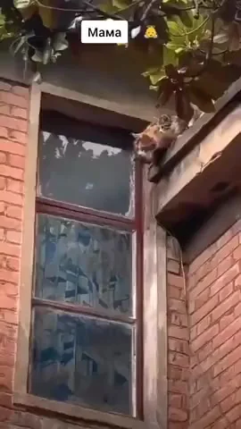 Мама поможет⁠⁠