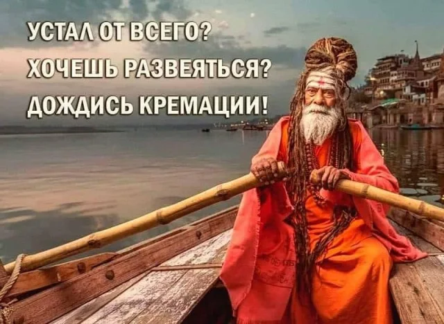 Веселые картиночки