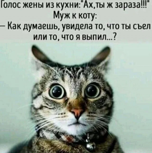 Картинки