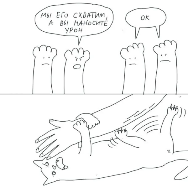 Баянчики подвезли