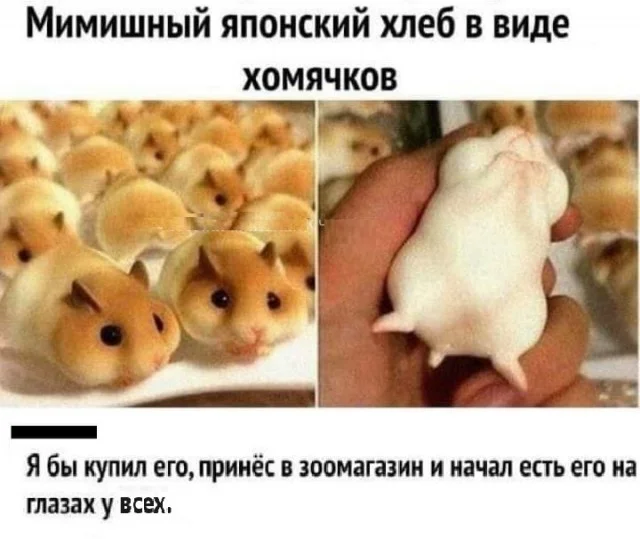 Картинки веселые и разные