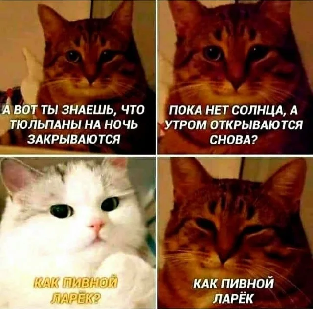 Картинки улыбашки