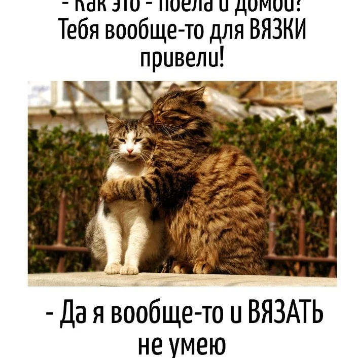 Игра слов #61