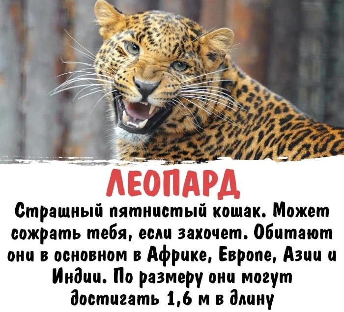 Интересная биология #43