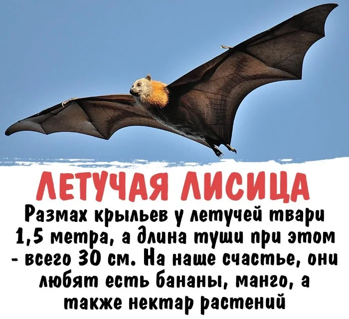 Интересная биология #45