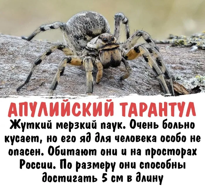 Интересная биология #47