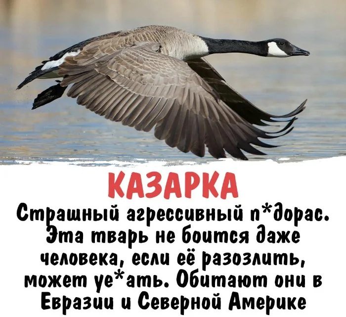 Интересная биология #50