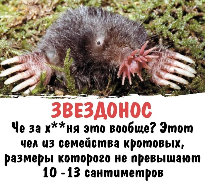 Интересная биология #58