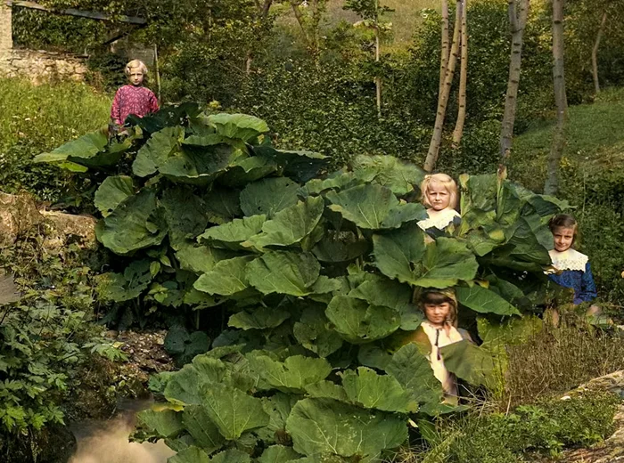 Ретро-Европа в красках: 20 уникальных фотографий ХХ века