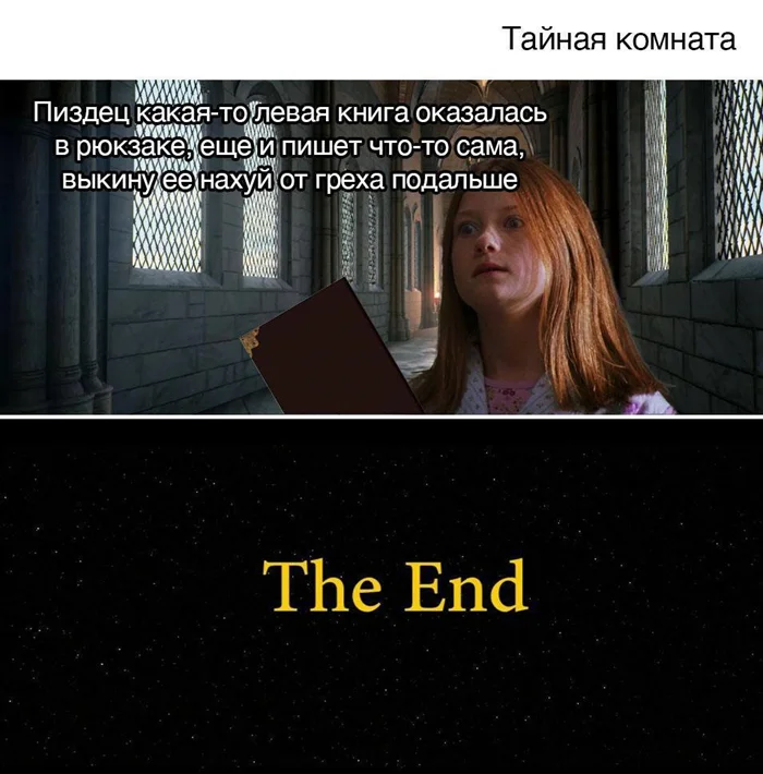 «Гарри Поттер»: как бы развивался сюжет с логичными решениями героев ...
