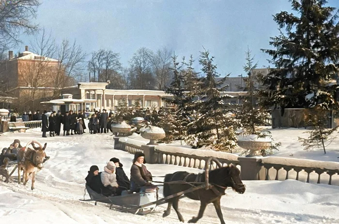 Зима в СССР: интересные и трогательные снимки