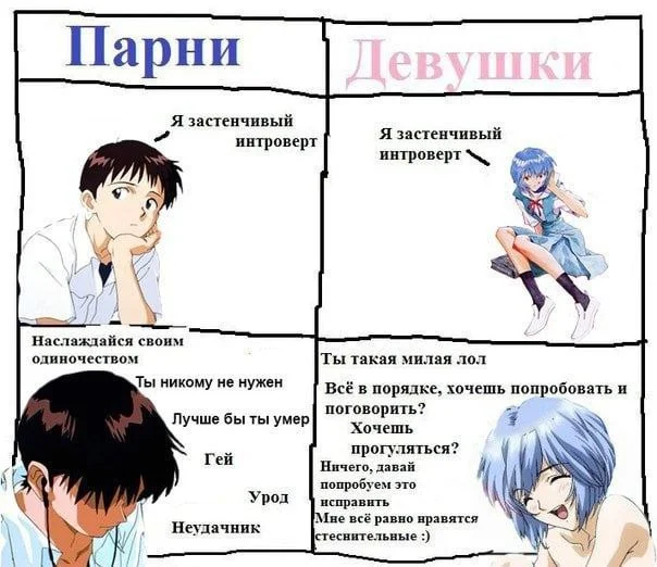 Анимемы