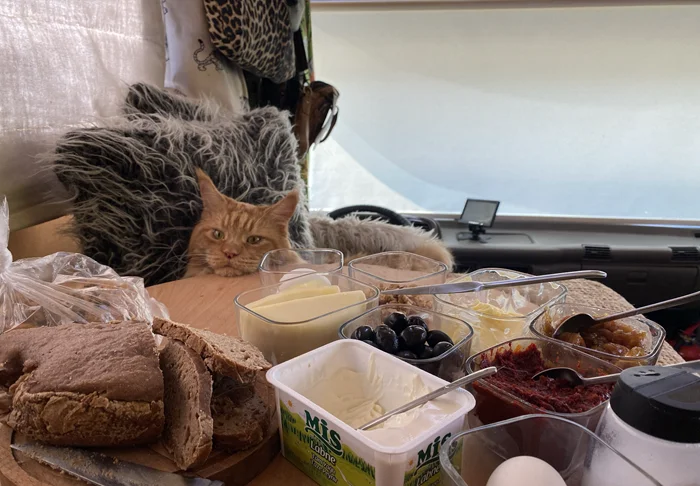 Жизнь в автодоме: плюсы, минусы и немного субъективности