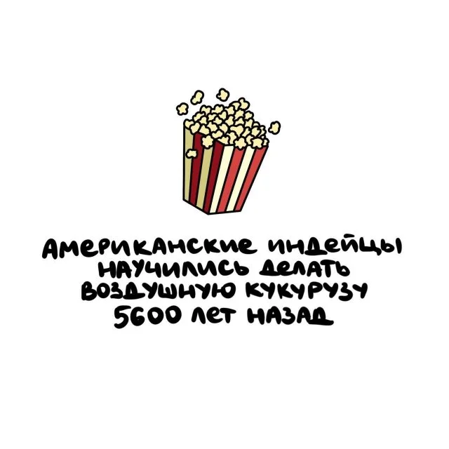 Любопытные факты