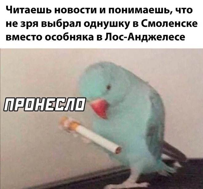 Новые скрины из соцсетей