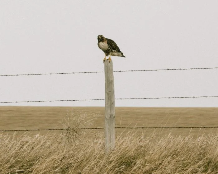 Подъехало всё вразнобой