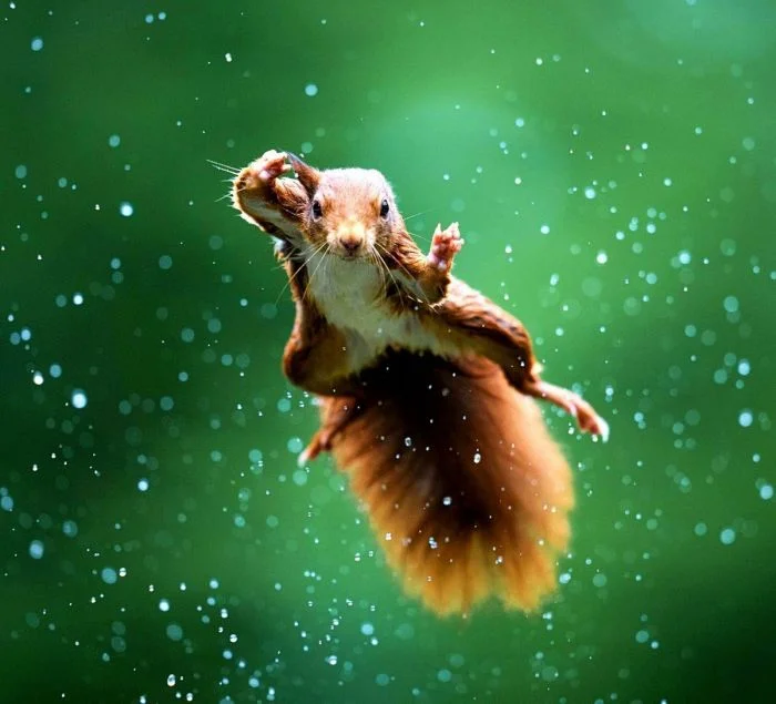 Картинки обо всем