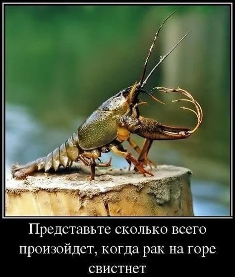 Демотивируй это