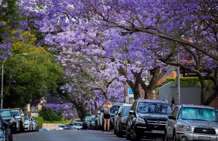 Получается всё вразнобой