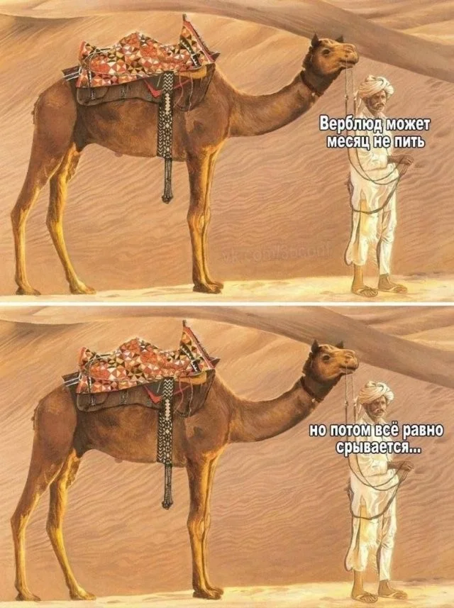 Скрины из соцсетей