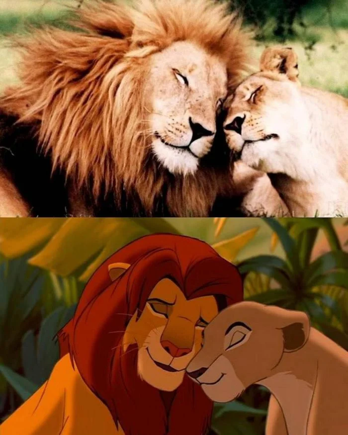 Как в мультике: 17 реальных кадров, повторяющих известные сцены