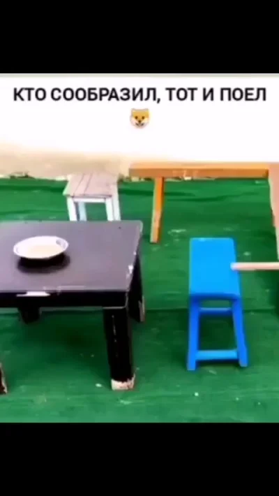 Кто соображает, тот ест