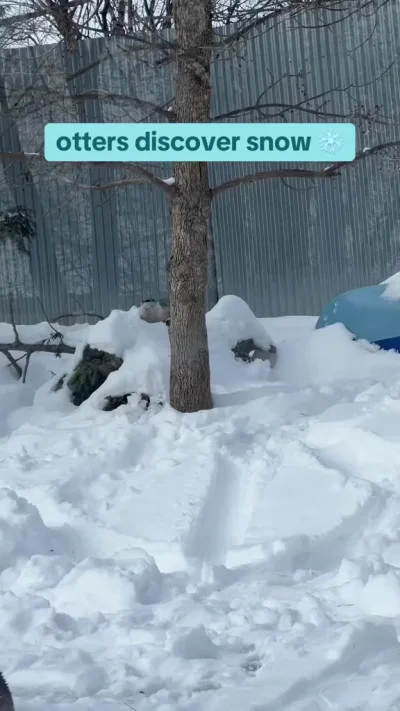 Технически это все еще вода...