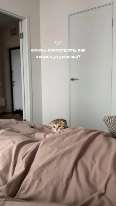 Иногда не замечаешь, как быстро летит время