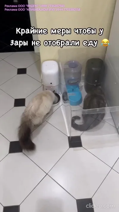 Средство от наглости