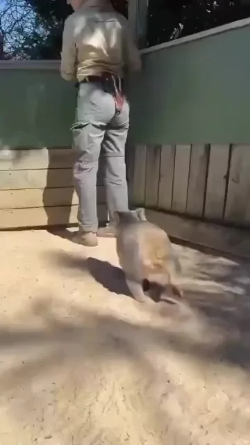 Всем нужна любовь