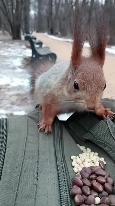 Икра, вода, белка, орехи!