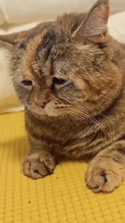 Когда приуныл, а потом поел