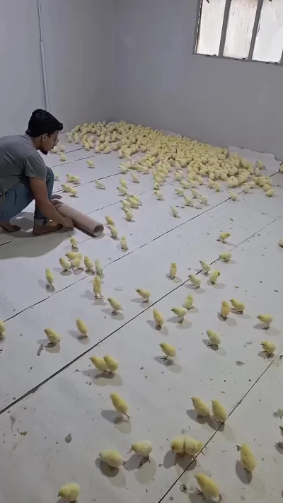 Время спать