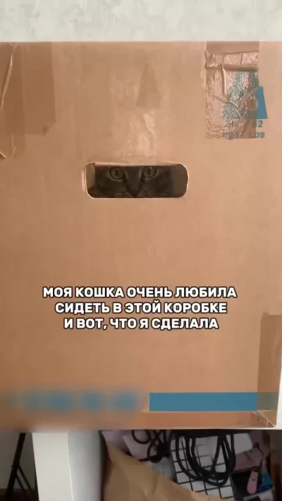 Отличная идея)
