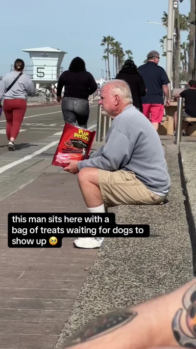 Мужчина сидит с пакетом вкусняшек и ждёт появления собак