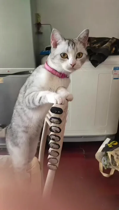 Вы сами виноваты, что платите за интернет!