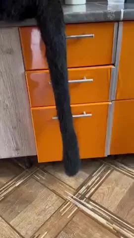 Я бы руки туда не совал