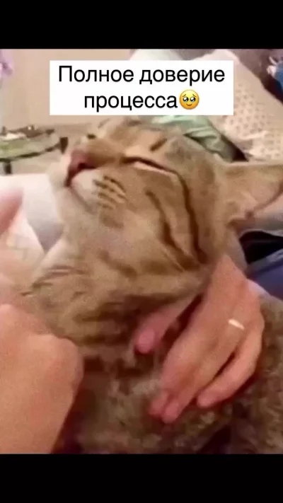 Главное доверие