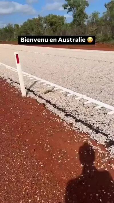 Это Австралия и я бы так не рисковал