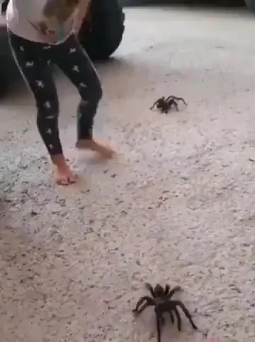 Милые питомцы австралийских детей