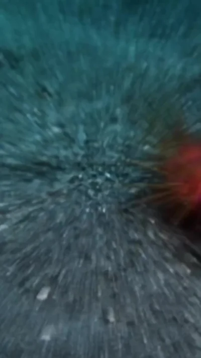 Ты будешь моей крышей