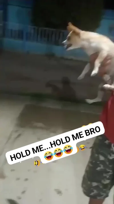 Держи меня а то сейчас дам ...