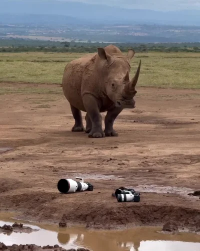 Фотограф, тебя долго ждать?