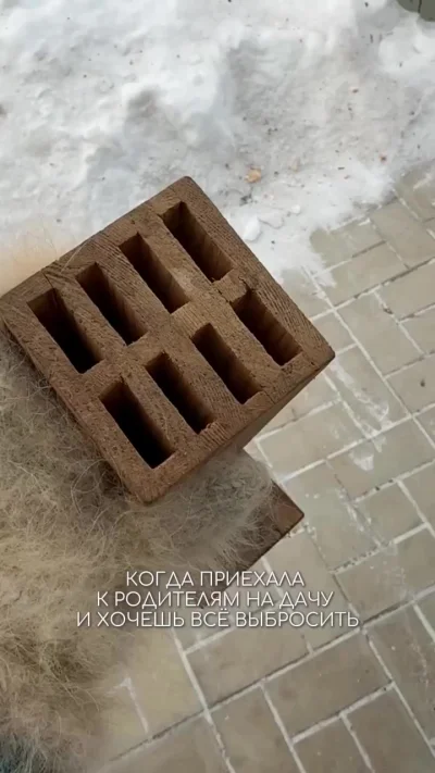 Когда хочешь выбросить мусор из дома родителей