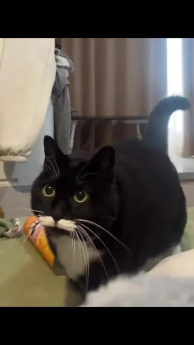 Усы с усами