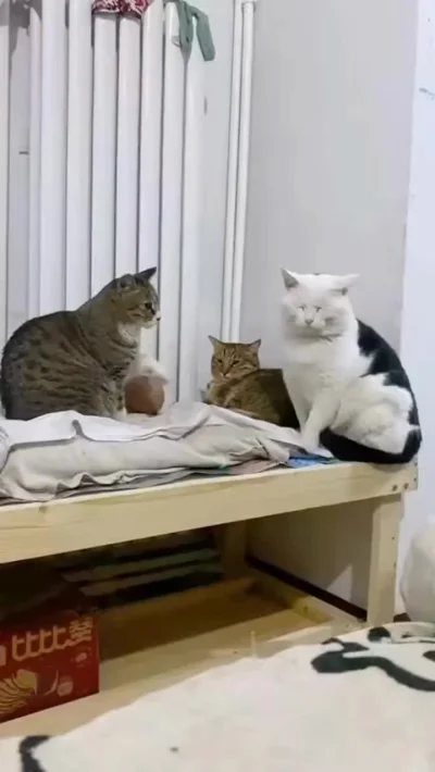 Спим дальше