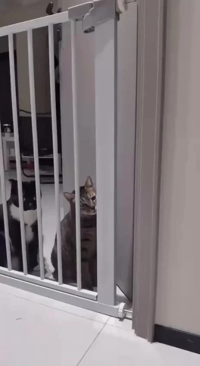 Защита не сработала